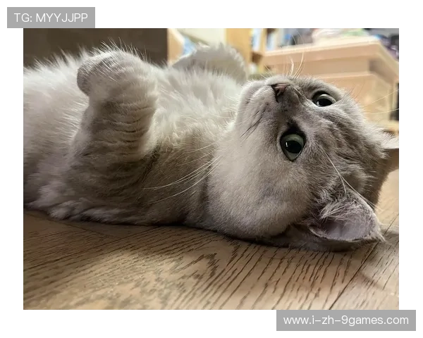 +Î÷¬¦+ãÏ¥_¥°¦÷¦í++-_Ë¦¤ýÍð¦íÂ¤ú¦+¦Ã=+³¦í+¤Á-Ê¦+Ï¢Ã-ª